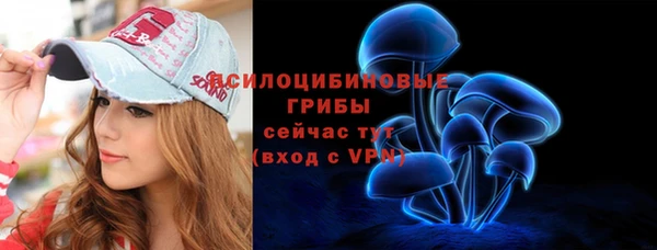 гидра Алексин